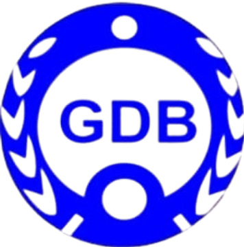 Gidanbu LTD logo
